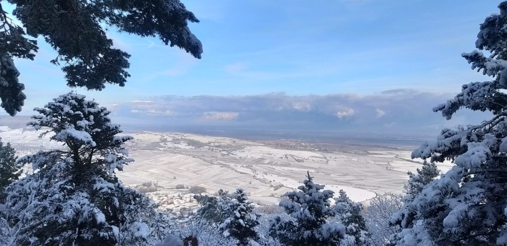 Vue sous la neige