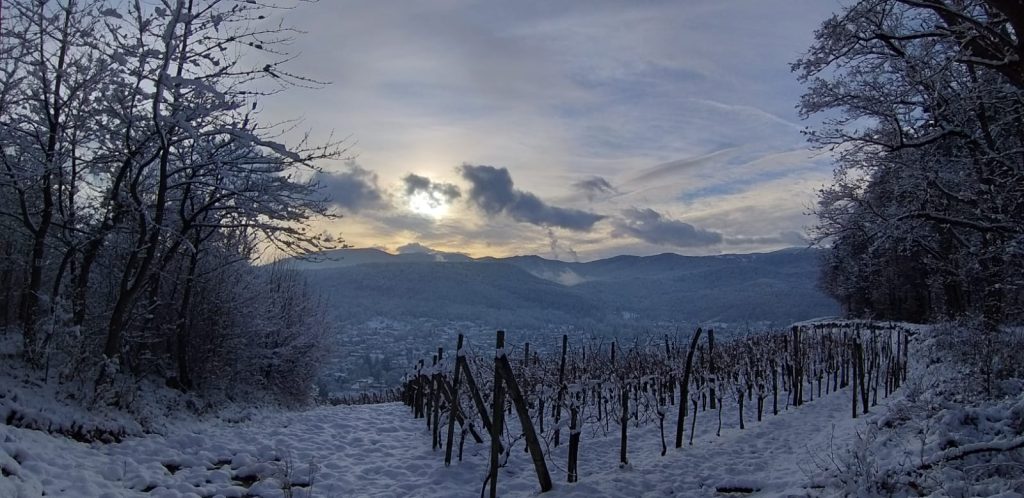 Guebwiller sous la neige